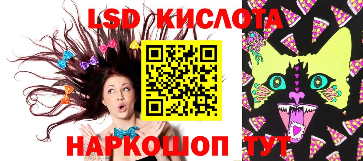 Марки 25I-NBOMe  магазин  наркотиков  Вход с VPN  Марки N-bome 1,5мг  Камышлов  Марки N-bome 1,5мг 