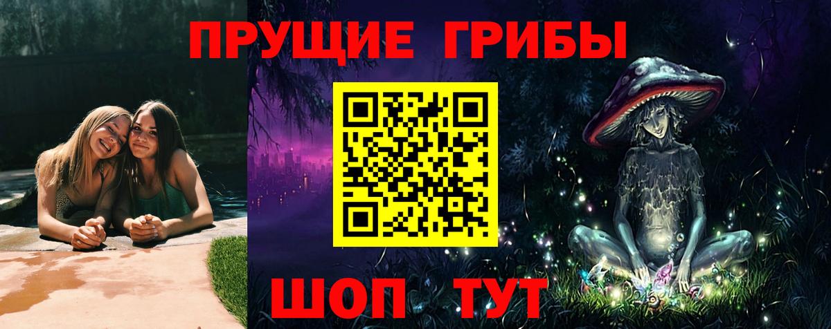 Псилоцибиновые грибы MAGIC MUSHROOMS  Вход с VPN  Камышлов  Галлюциногенные грибы прущие грибы 